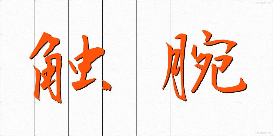 触腕 (しょくわん)