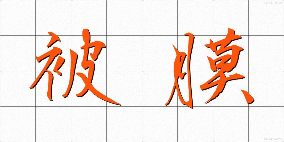 被膜 (ひまく)