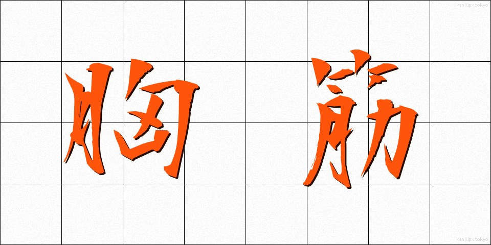胸筋 (きょうきん)