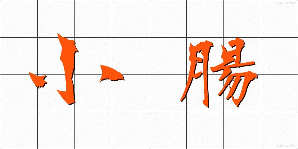 小腸 (しょうちょう)