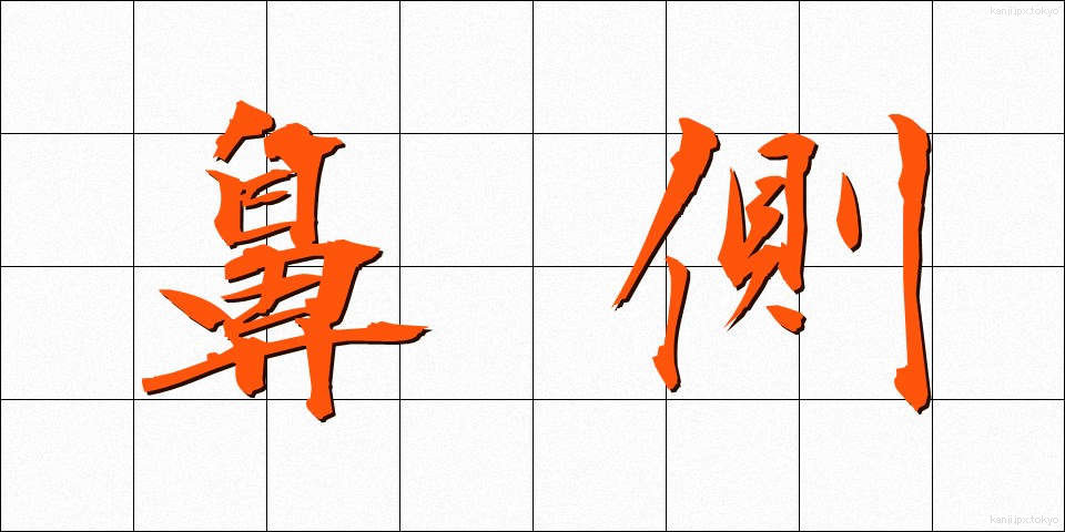 鼻側 (びそく)