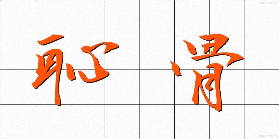 恥骨 (ちこつ)