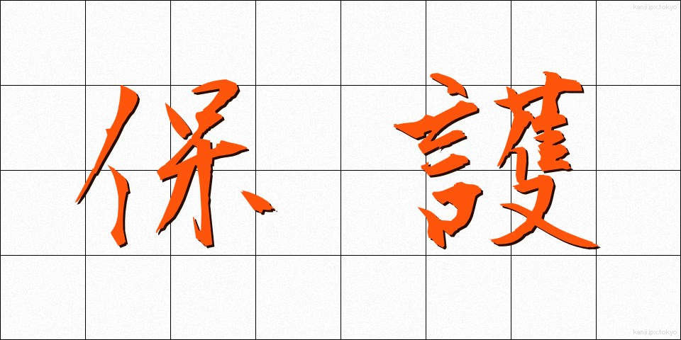 保護 (ほご)