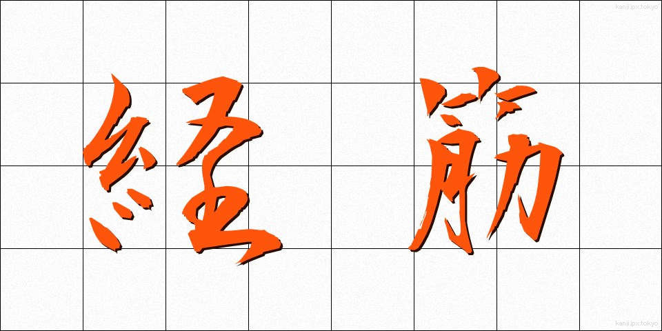 経筋 (けいきん)