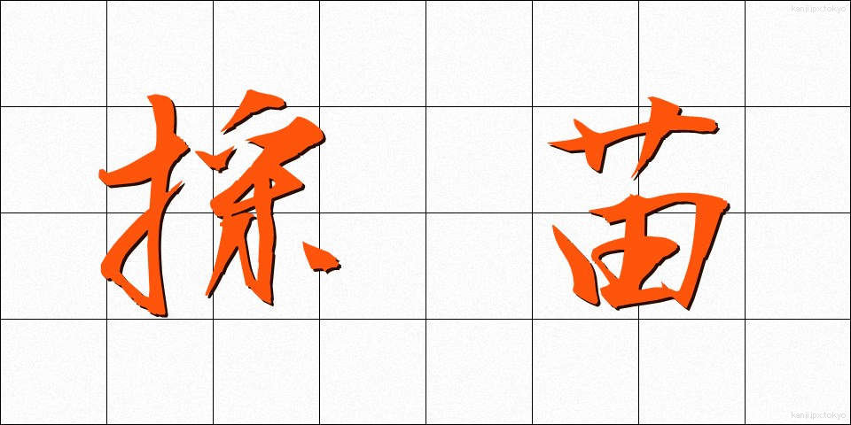 採苗 (さいびょう)