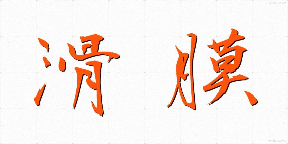 滑膜 (かつまく)