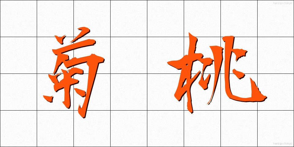 菊桃 (きくとう)