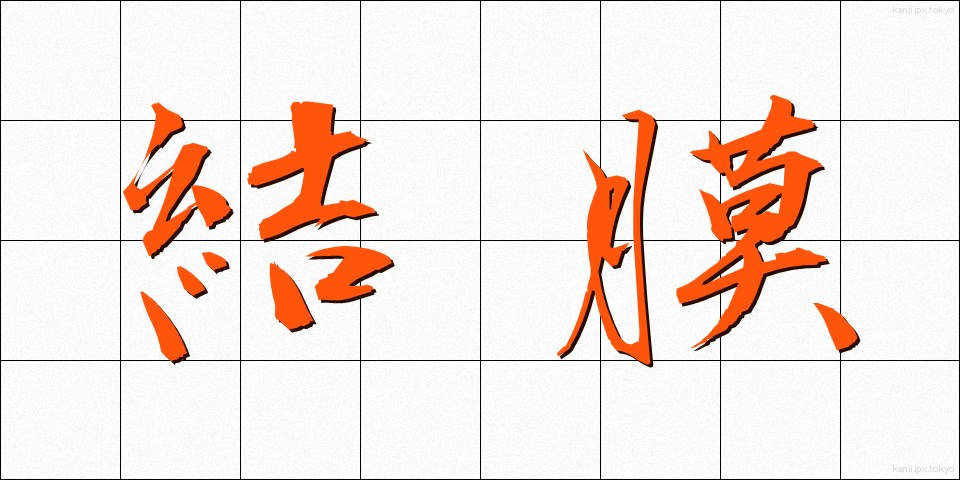 結膜 (けつまく)