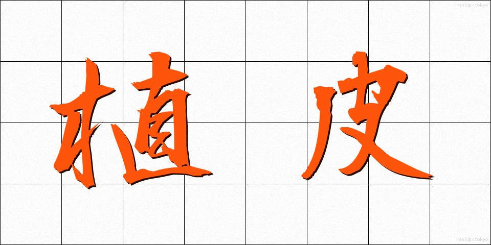 植皮 (しょくひ)