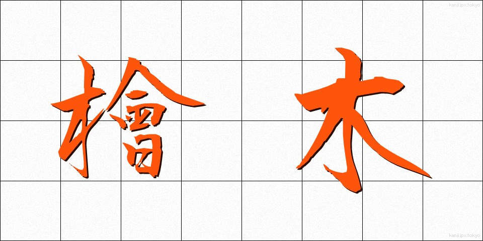 檜木 (ひのき)