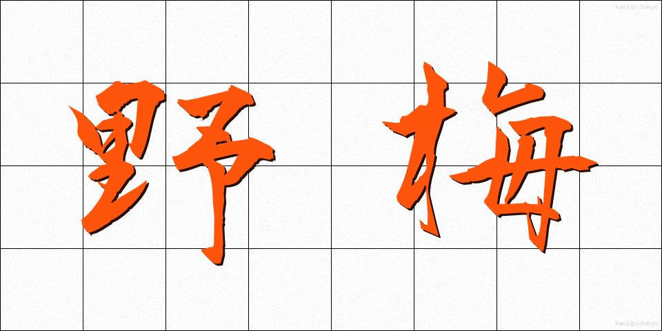 野梅 (のうめ)