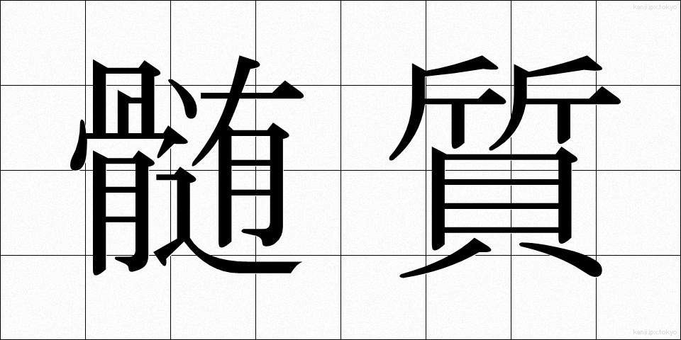髄質 (ずいしつ)