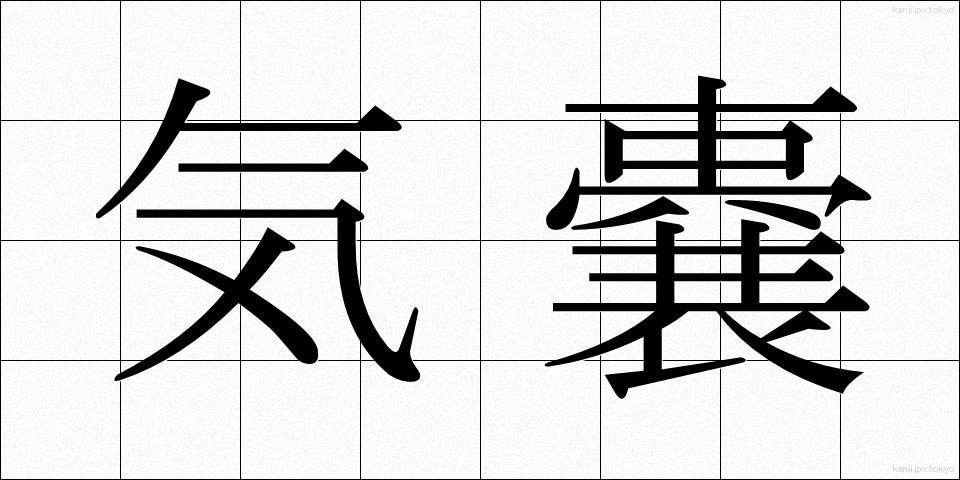 気嚢 (きのう)