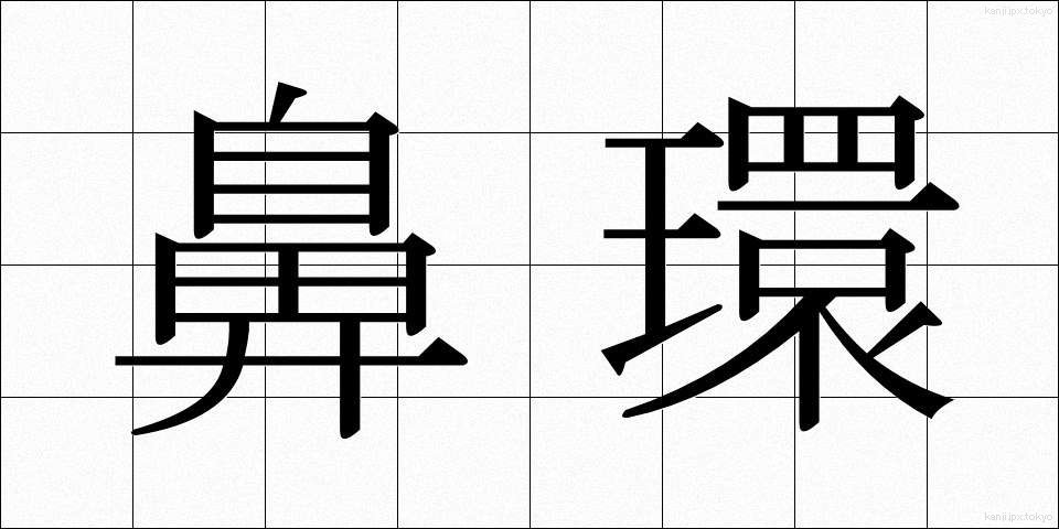 鼻環 (びかん)