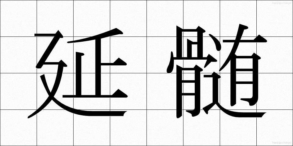 延髄 (えんずい)