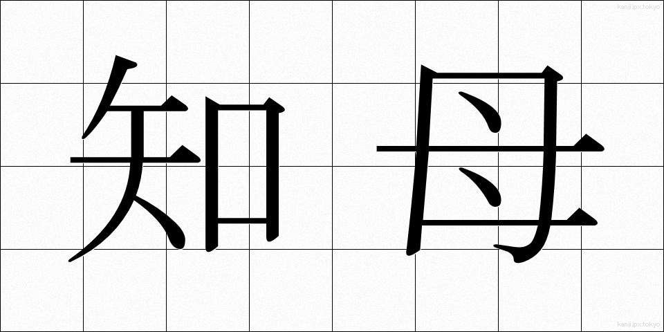 知母 (ちぼ)