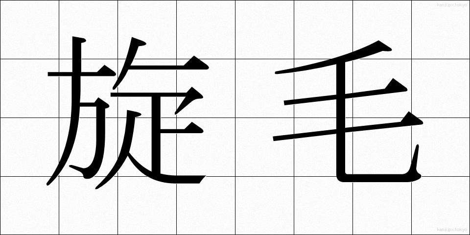 旋毛 (つむじ)