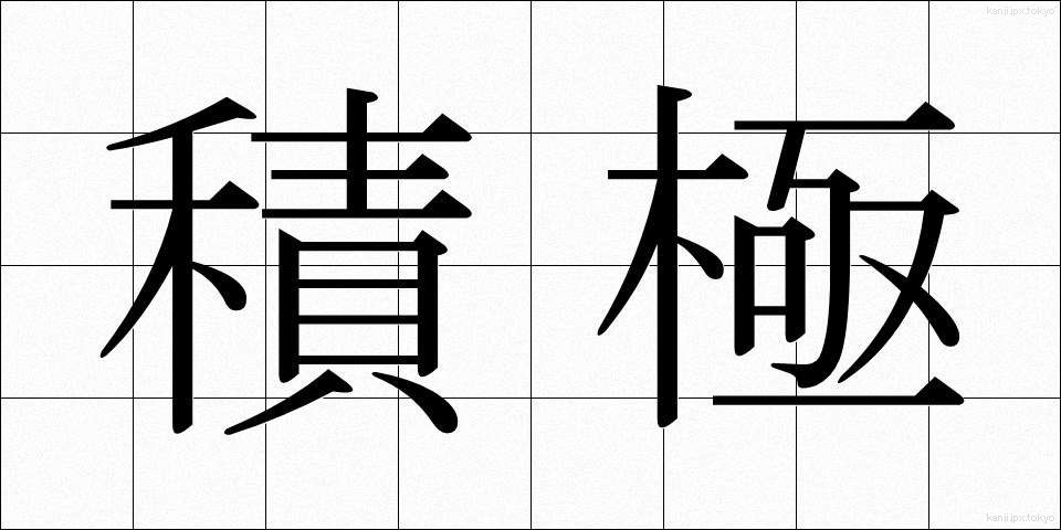 積極 (せっきょく)