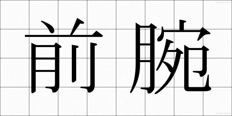 前腕 (ぜんわん)