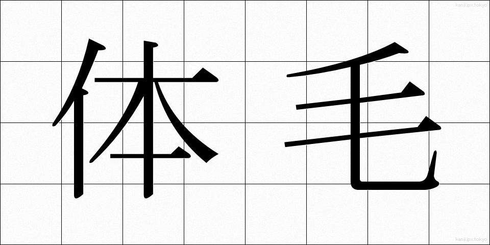 体毛 (たいもう)