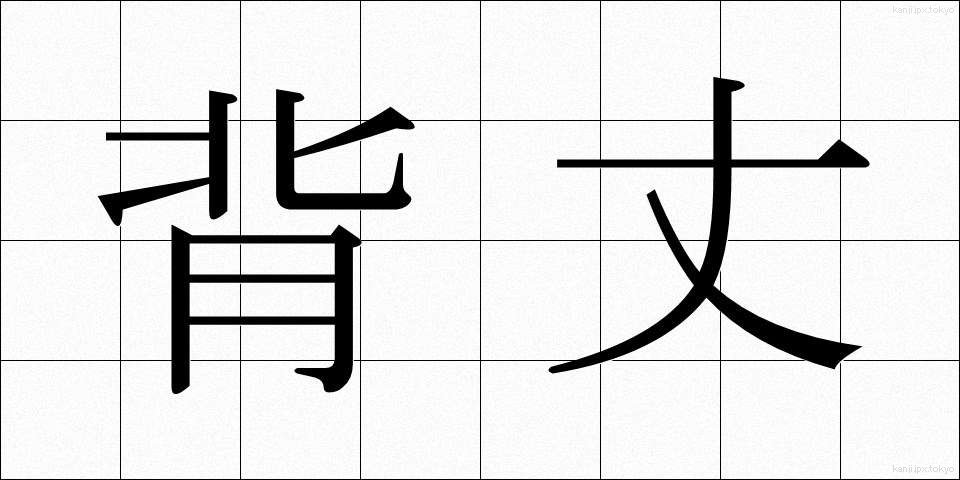 背丈 (せたけ)