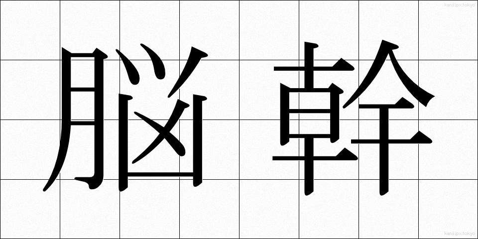 脳幹 (のうかん)
