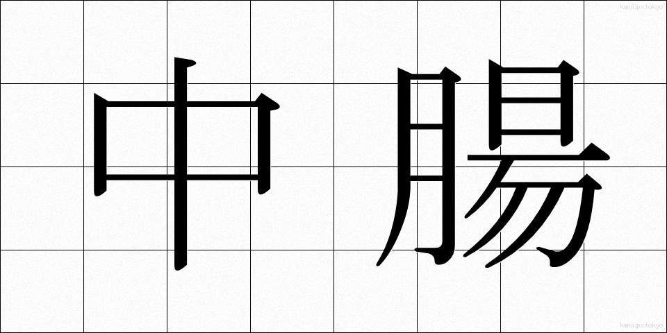 中腸 (ちゅうちょう)