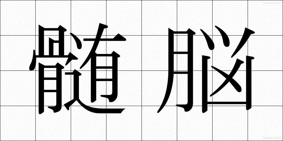 髄脳 (ずいのう)