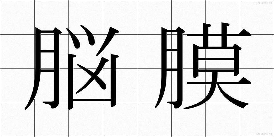 脳膜 (のうまく)