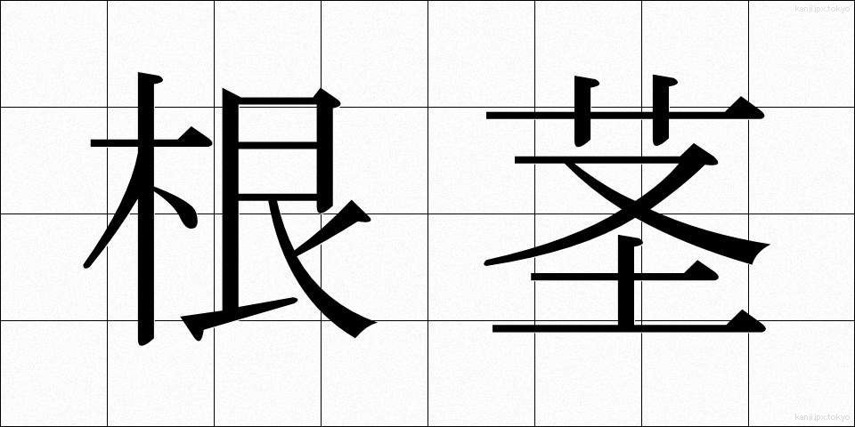 根茎 (こんけい)