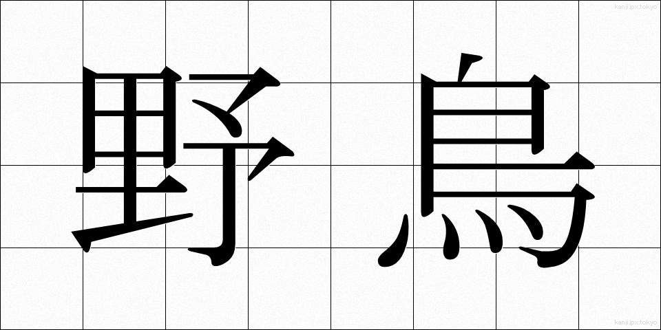 野鳥 (やちょう)