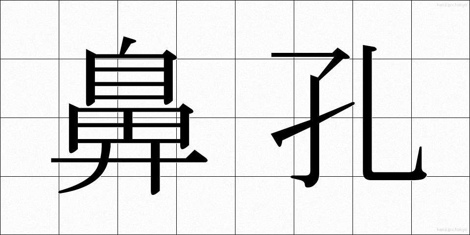 鼻孔 (びこう)