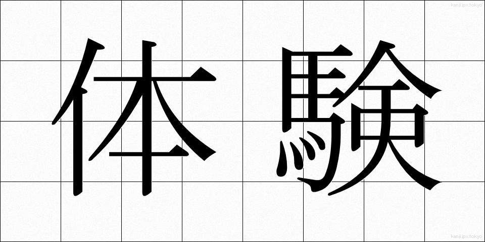 体験 (たいけん)