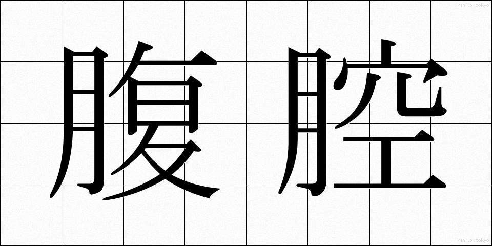 腹腔 (ふくくう)