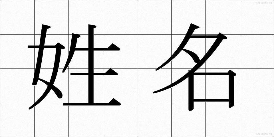 姓名 (せいめい)