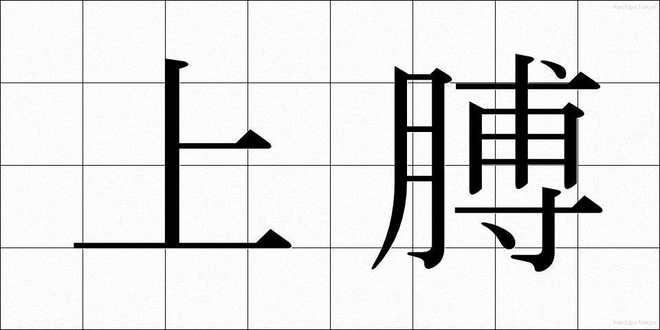 上膊 (じょうはく)