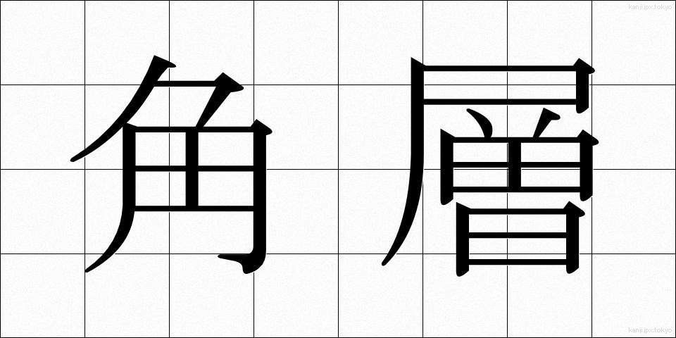 角層 (かくそう)