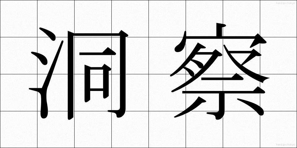 洞察 (どうさつ)