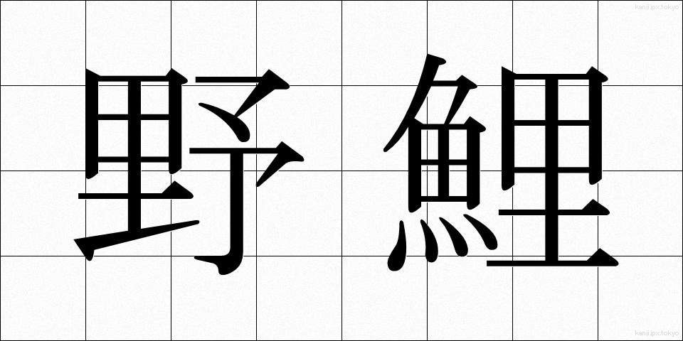 野鯉 (のごい)