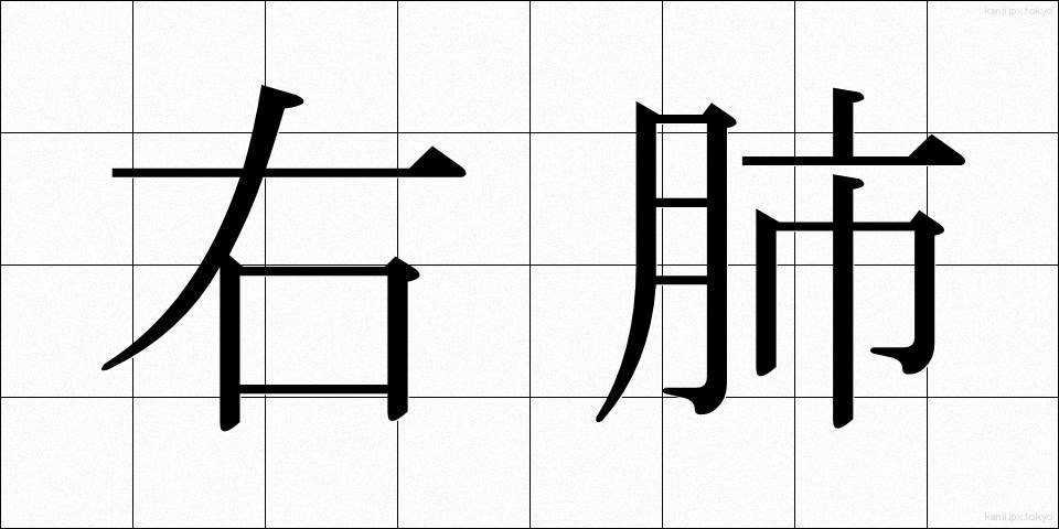 右肺 (うはい)