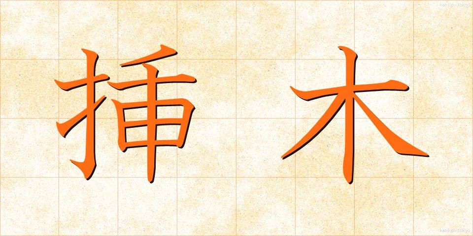 挿木 (さしき)