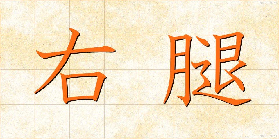 右腿 (うもも)