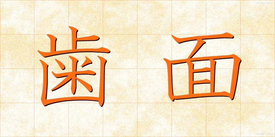 歯面 (しめん)