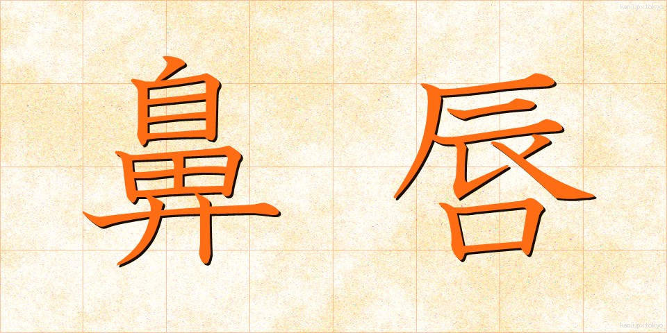 鼻唇 (びしん)