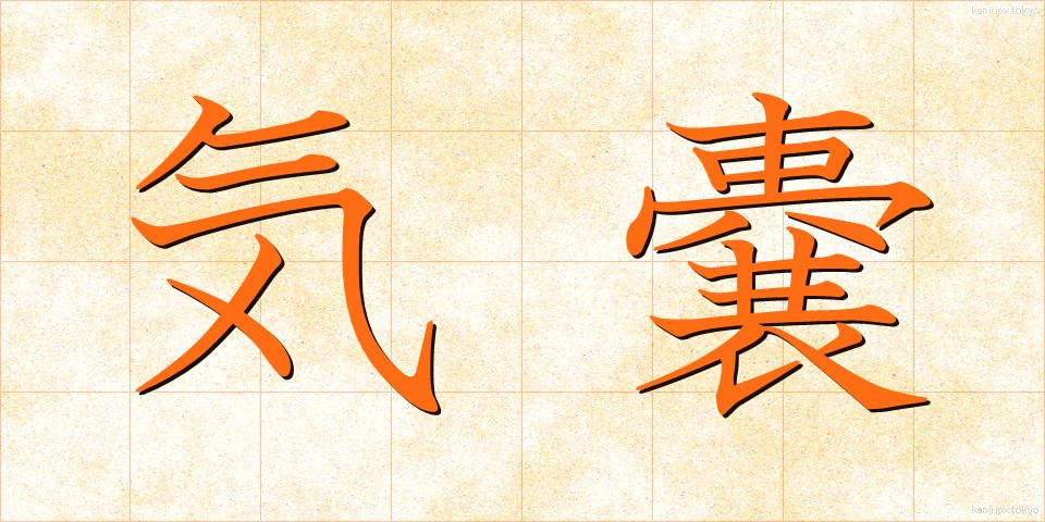 気嚢 (きのう)
