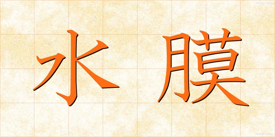 水膜 (すいまく)
