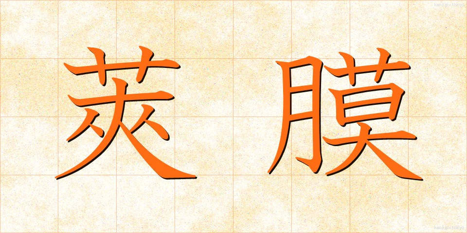 莢膜 (しょうまく)