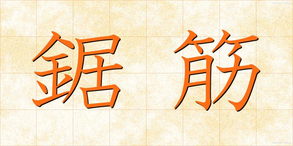 鋸筋 (きょすじ)