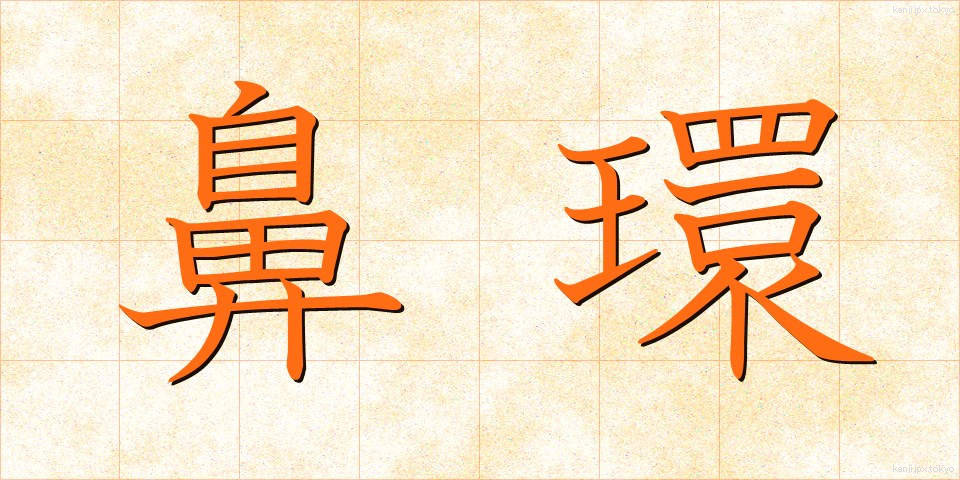 鼻環 (びかん)
