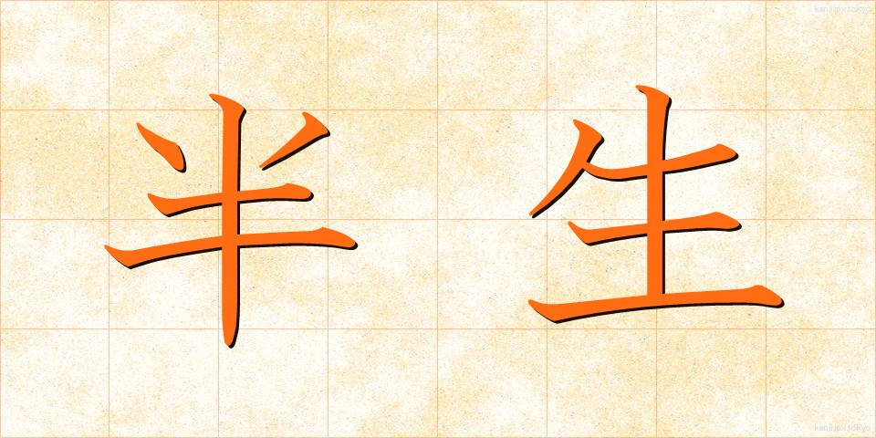 半生 (はんせい)